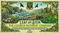 Stem and Leaf