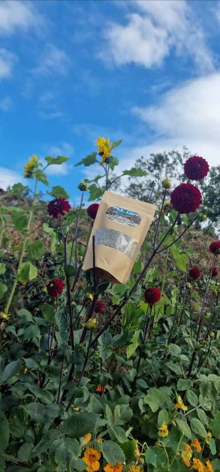 Root&Bloom Premium Plant Food : All Natural Flower, Fruit and Veg Bloom phase. All in One Slow Release Bloom Phase (Part 2)